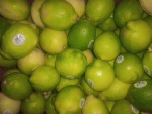 Limón *Familia Sigstad* x kg "-"