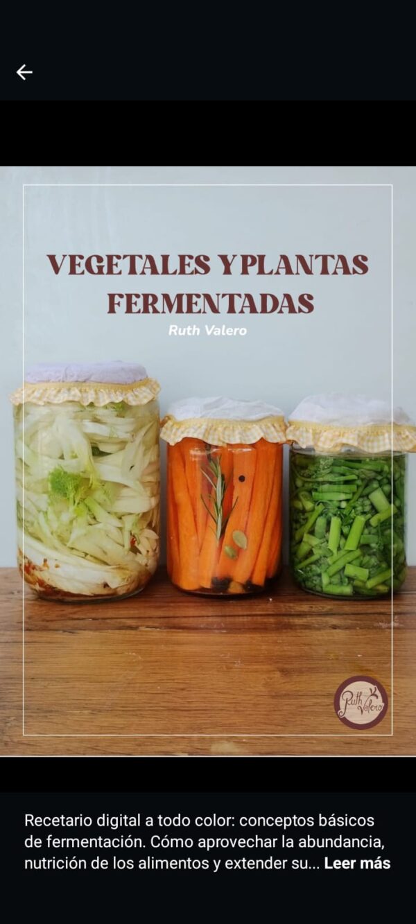 Recetario Alimentos y Plantas fermentadas. PDF (15 páginas)