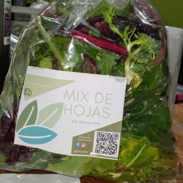 Mix de hojas verdes Divina Naturaleza agroecológico x 300 g