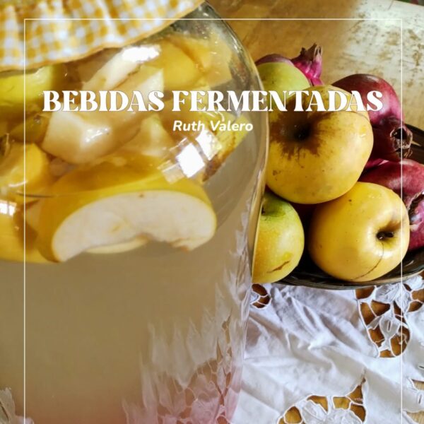 Recetario Bebidas Fermentadas PDF