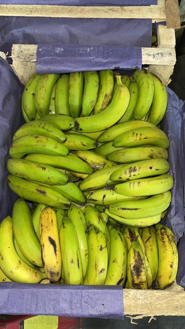 Bananas Agroecológicas x 17 kg