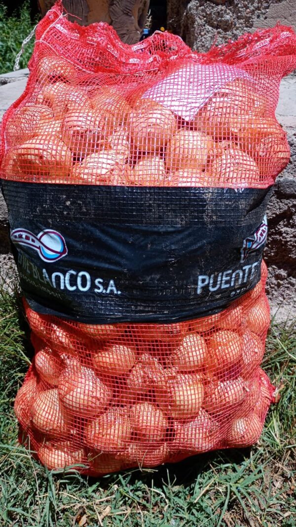 Cebolla Valencianita Orgánica "Puente blanco" x 18 kg