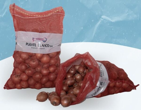 Cebolla Grano de Oro Orgánica "Puente blanco" x 18 kg
