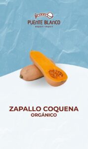Zapallo Coquena Orgánico "Puente Blanco" x kg