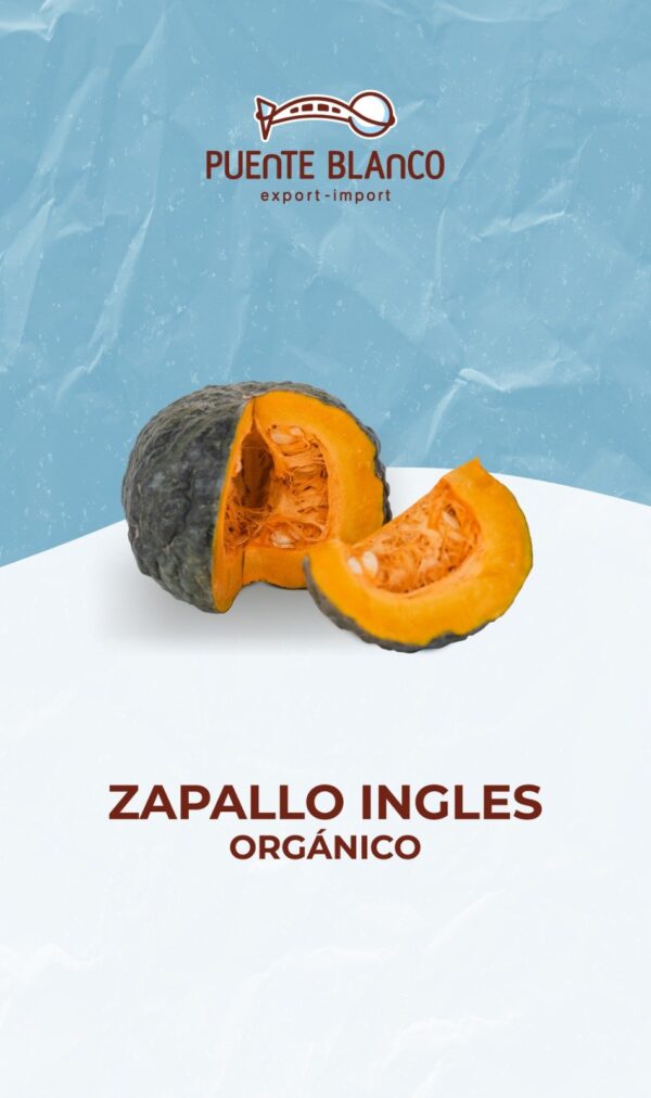 Zapallo ingles Orgànico "Puente Blanco" x 15 kg