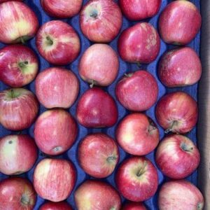 Manzana Gala Orgánica Agroecologica  x 13 kg