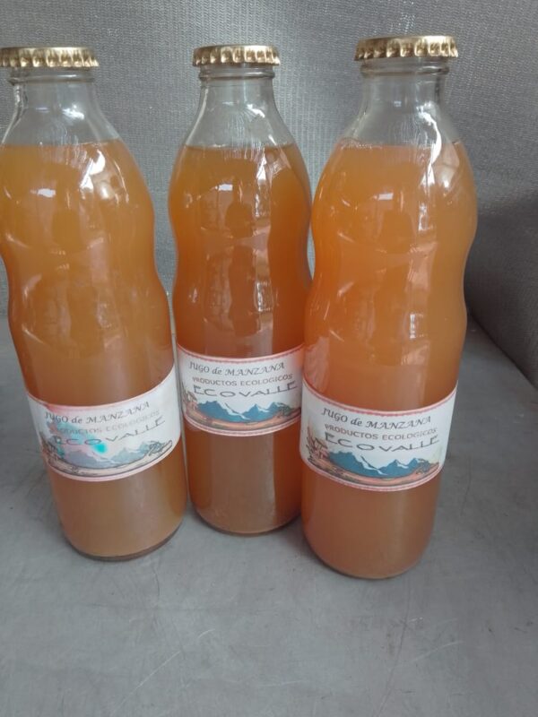 Jugo de manzana agroecologico "finca Pagliafora" x 910 ml