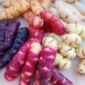 Papa Oca mixta agroecológica x 5 kg "coop Colanzuleña"