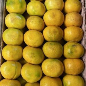 Mandarina Okitsu Agroecológica x 16kg