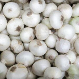 Cebolla Blanca "Puente Blanco" x 15kg