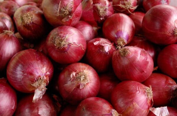 Cebolla Morada "Puente Blanco" x 14 kg