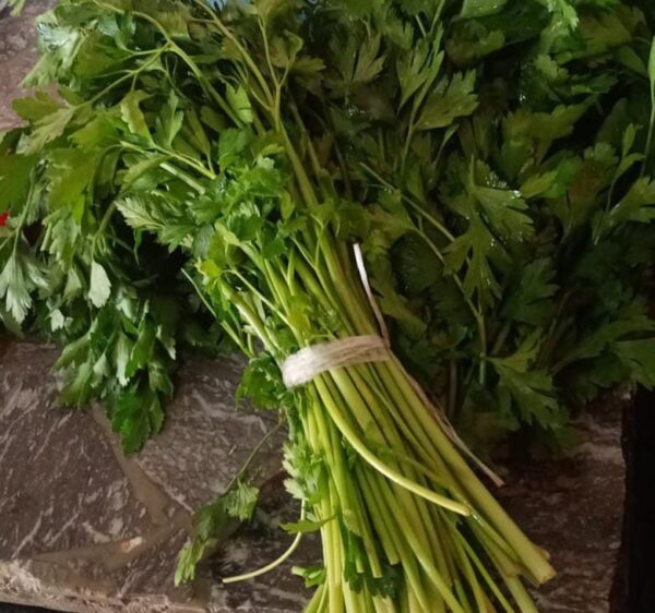 Perejil Agroecológico x 300g "flia Villalobos"