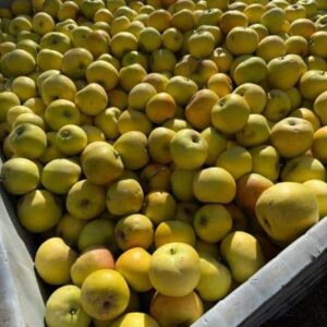 Manzanas Amarilla Agroecologica "Flia Valentín Diaz"  X 12 Kg