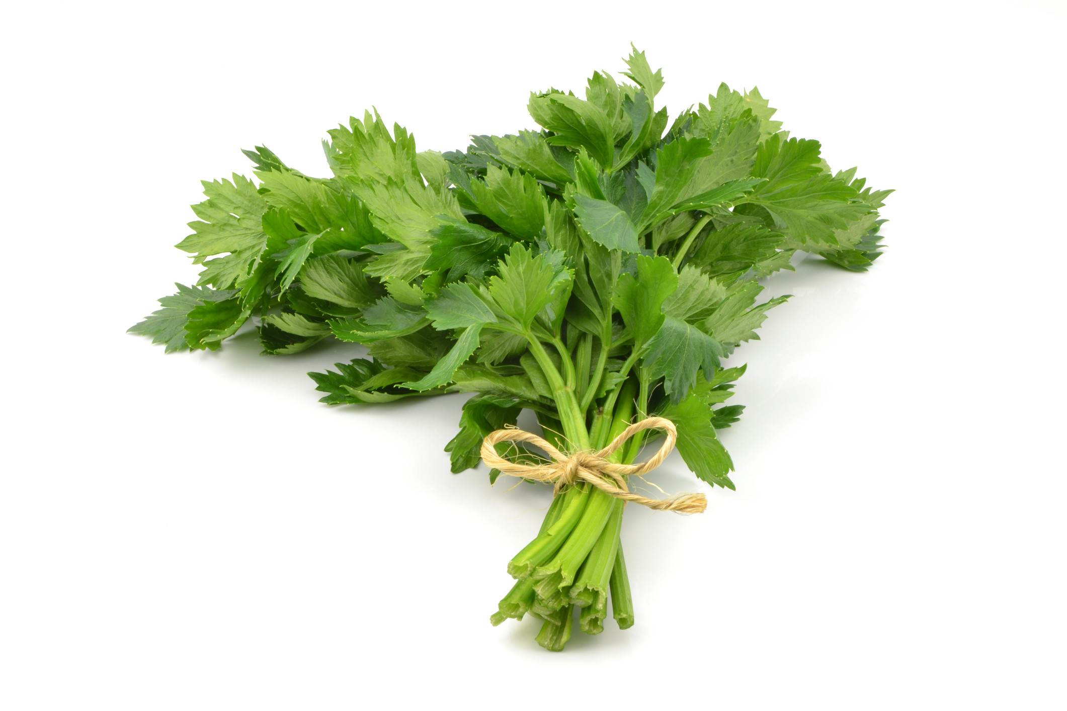 Apio "flia Zolorzano" x 300g