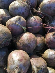 Remolacha Agroecologica "Donato Sánchez" x kg