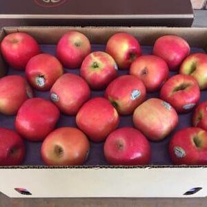 Manzana Pink Lady Agroecologica ” BETTINA SCHOLZ” x 7kg