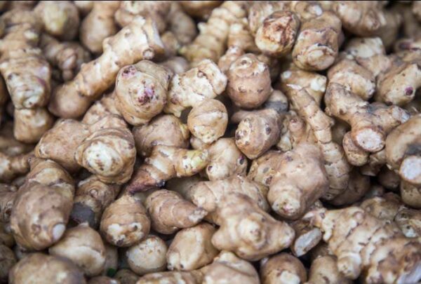 Topinambur agroecológico "Divina Naturaleza" x 500gr