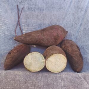 Camote Agroecologico "Oniitas" x kg