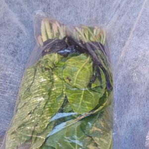 Acelga Baby "Don Arturo" x 300 gr