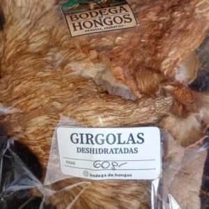 Girgolas "Bodega de Hongos" x 60 gr