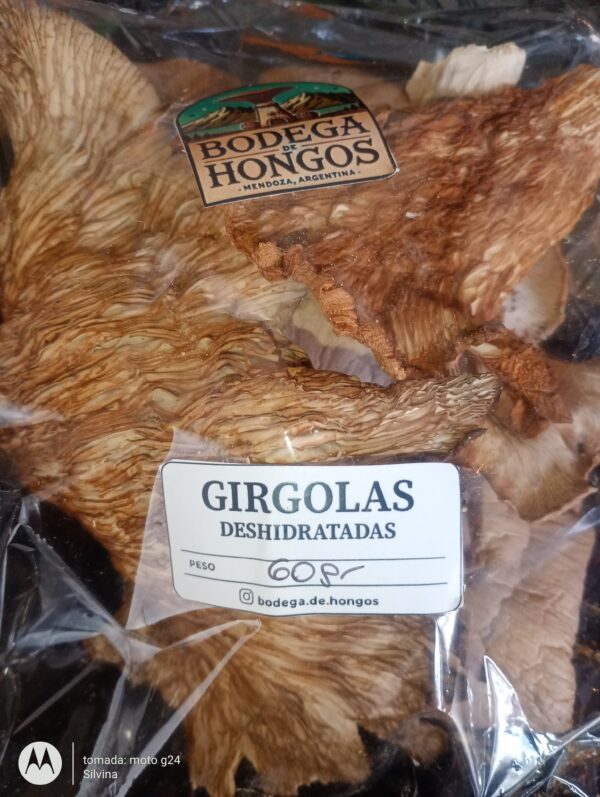 Girgolas "Bodega de Hongos" x 60 gr