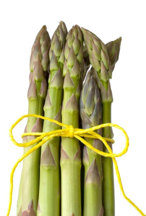 Espárragos "ICEBERG AGRICOLA S.A." x 460 gr