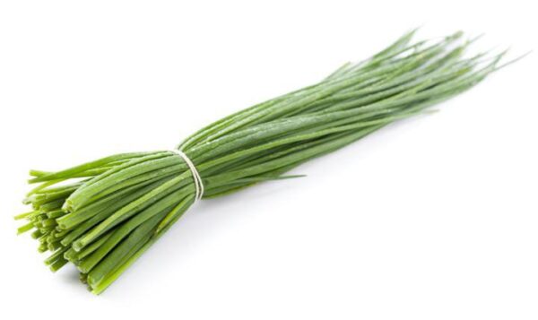 Ciboulette "DIVINA NATURALEZA" x 100 gr