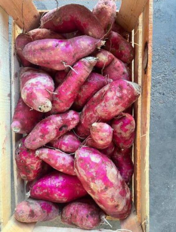 Batata "Sergio iaski" x 9kg