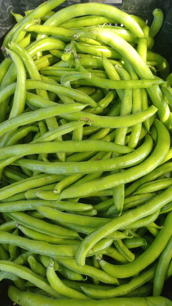 Habas "Divina Naturaleza" x 500 gr