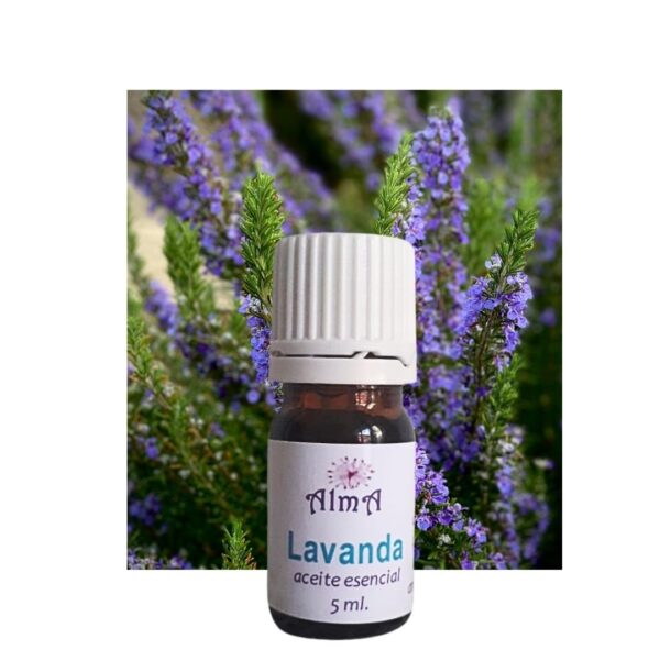 Aceites esenciales "AlmaRaíz" x 5 ml