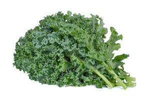 Kale "finca Don Arturo" x 250g