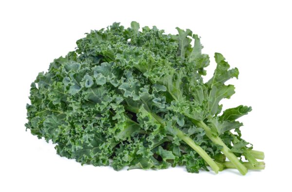 Kale "finca Llantén" x 200g