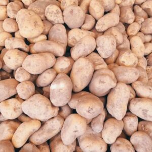 Papa Nueva "Puente Blanco" x kg