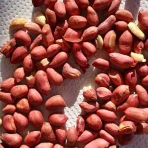 Mani agroecológico *Sol y Luna* x 100g