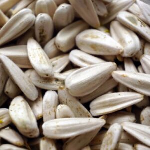 Semillas de girasol  pelado *Salve la Tierra* x 500g ":"