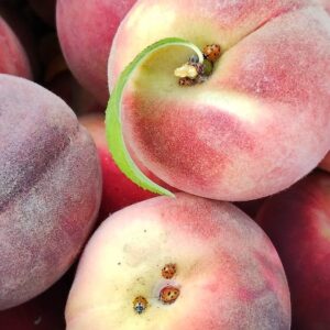 Durazno agroecológico x kg "Ruth Valero"