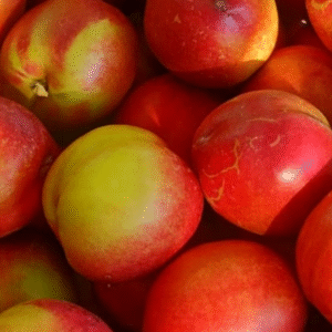 Durazno agroecológico x kg "Estela Bonilla"