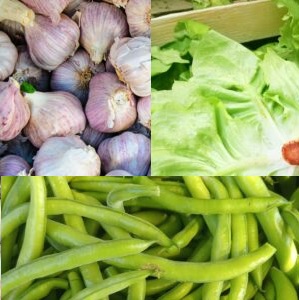 KaluTrío Verduras de estación -10%