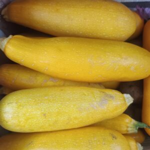 Zapallitos zuquinis amarillos "Divina Naturaleza" x kg