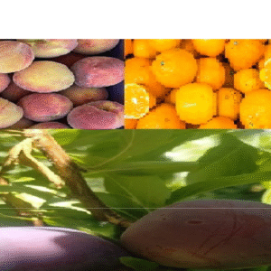 Kalu mix Frutas 12 kg
