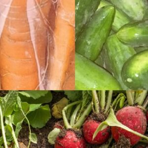 Kalumix verduras de estación