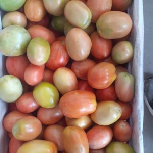 Tomate perita "Donato Sánchez" x kg