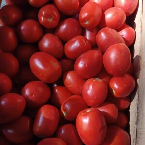Tomate perita rojo x caja 15 kg "Donato Sánchez"