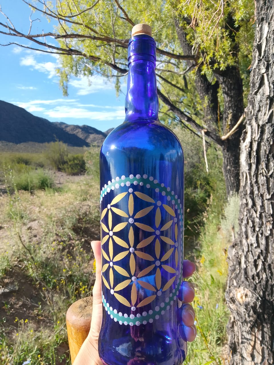 Botella Solarizadora EOS - Imagen 2