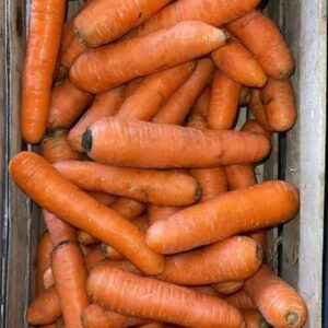 Zanahoria Orgánica x kg "Trevelin"