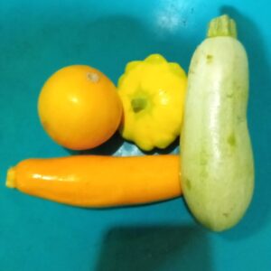 Zapallito Mixto x kg "Anthesis"