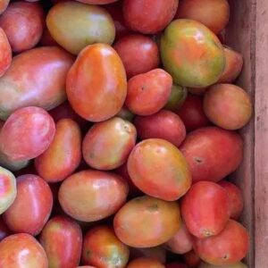 Tomate perita rosado "Donato Sánchez" x Caja 15 kg