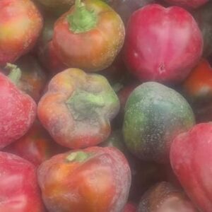 Pimiento Calahorra agroecológico x kg "Donato Sánchez"