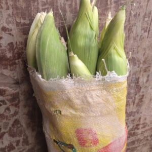 Choclo Blanco "finca Don Arturo" x bolsa  (25 Unid.)