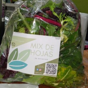 Ensalada Mix "Divina Naturaleza" x 300g